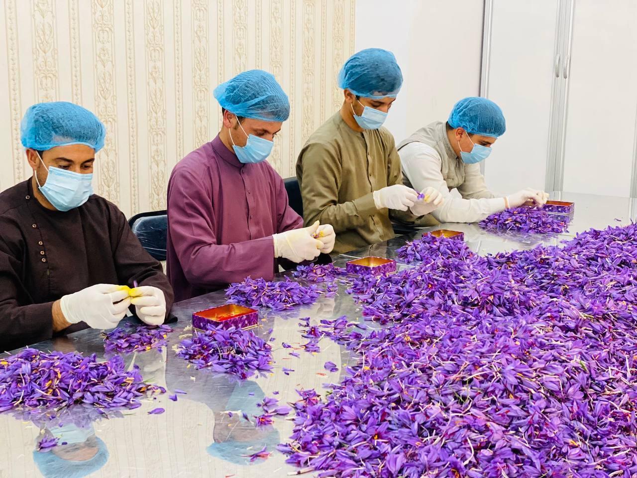 100 Grams (3.5 Oz) Heray Afghan Saffron Extra Class Premium Super Negin Quality - Image 11