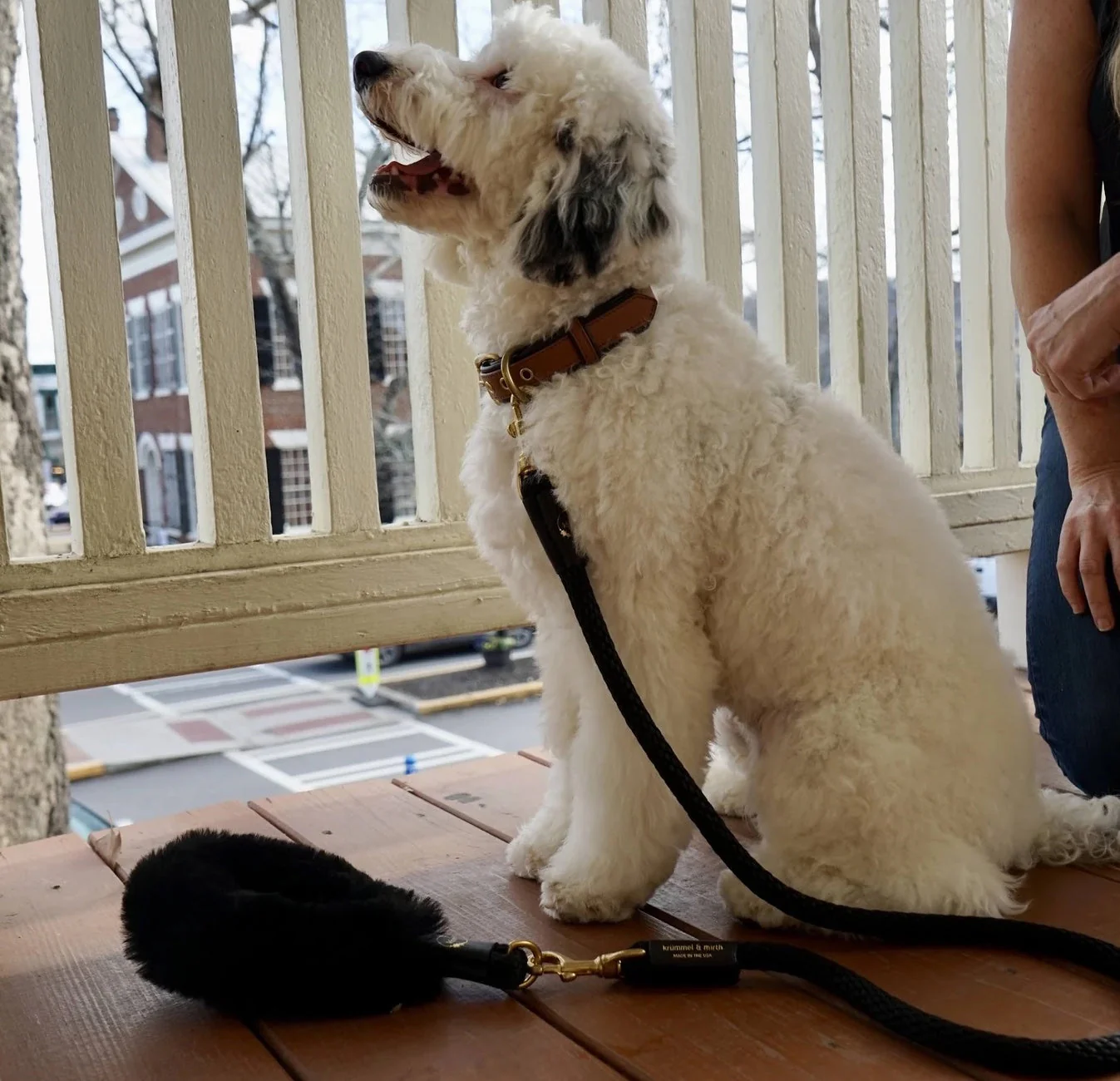 Bundle Shearling Fur Grip + Rope Leash for Dogs - Image 2