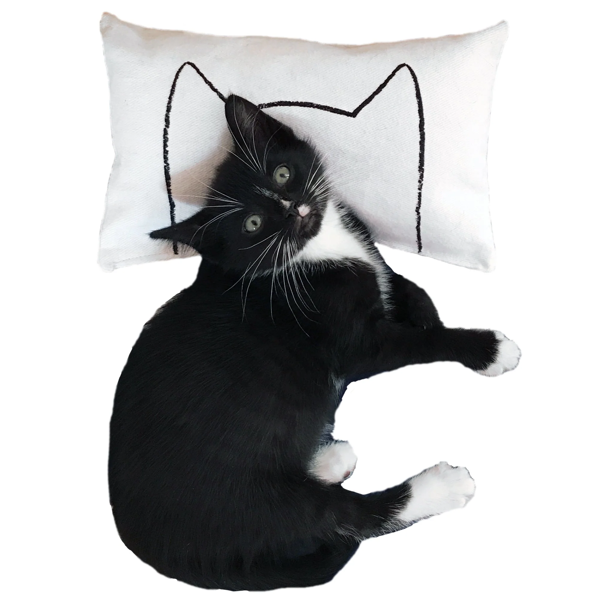 Cat Kicker Bed Pillow Catnip Kicker Toy