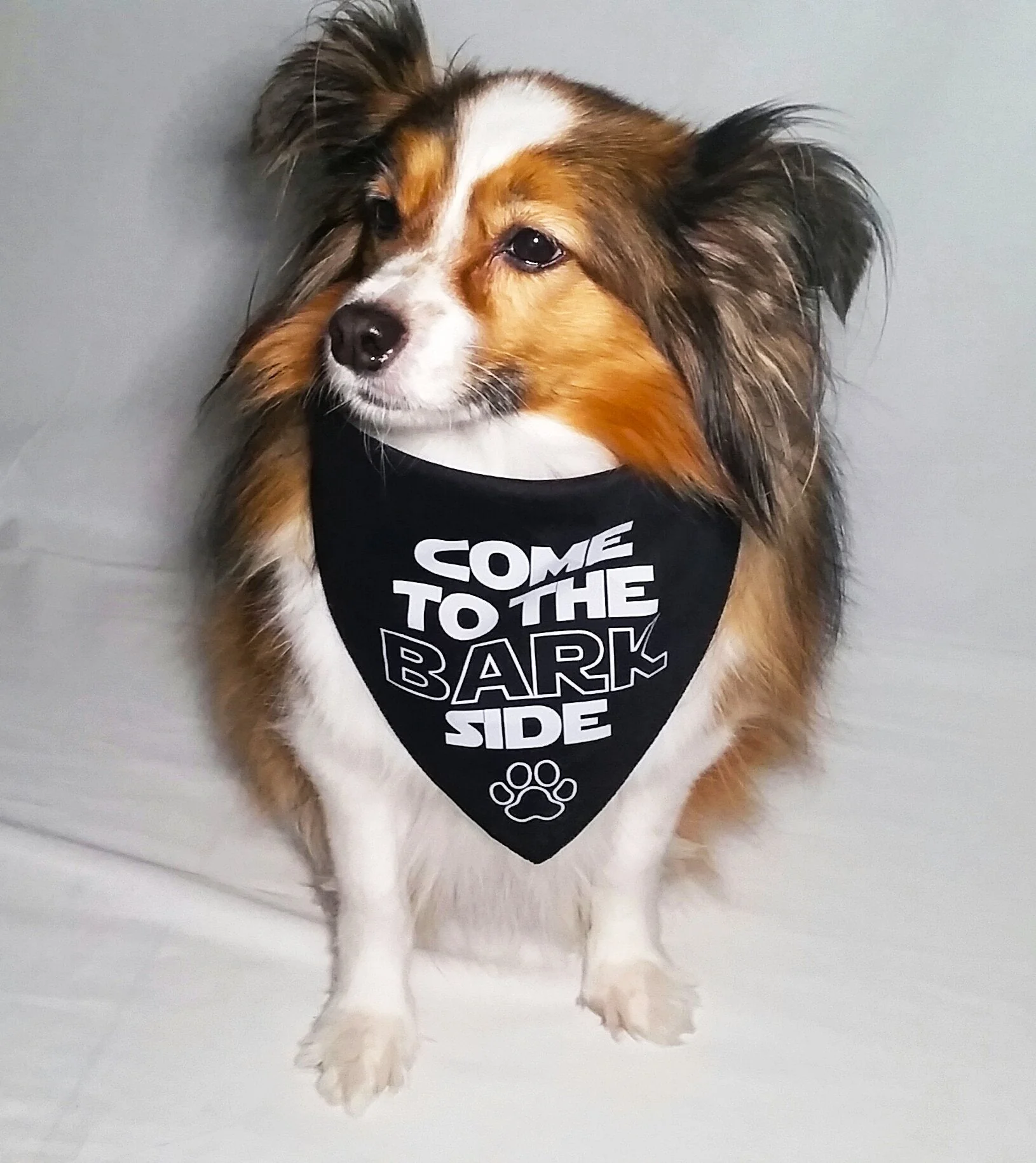 Come to the Bark Side Bandana (Paw Wars) - Image 3