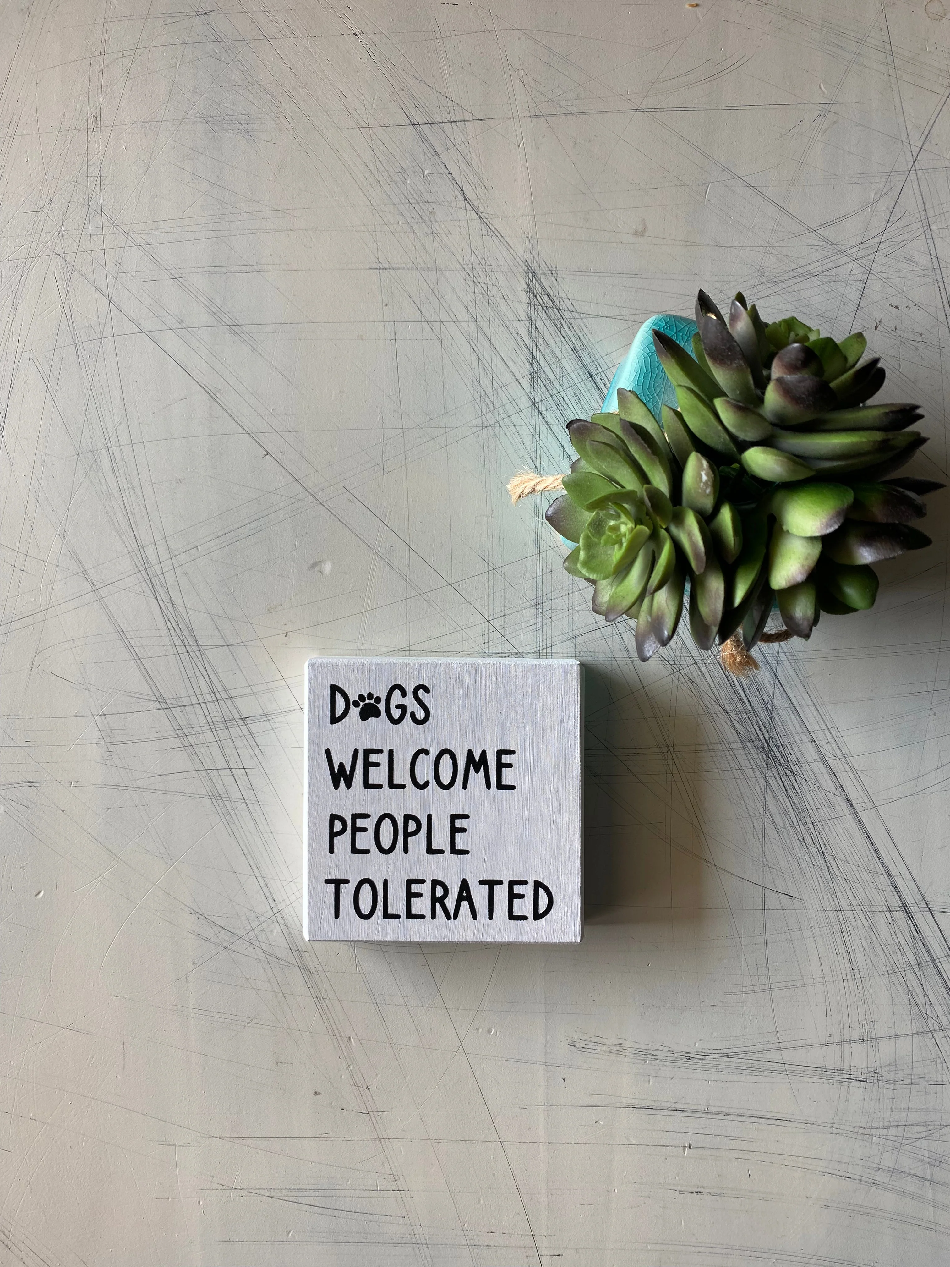 Dogs welcome people tolerated - Image 2