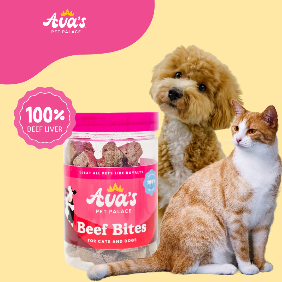 Freeze Dried Beef Liver - Beef Bites - Image 4
