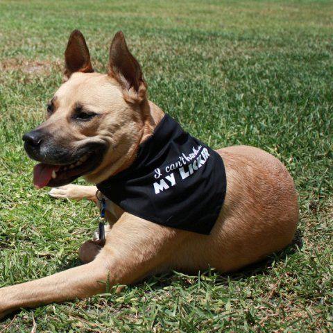 I Can't Handle My Licker Bandana - Image 11