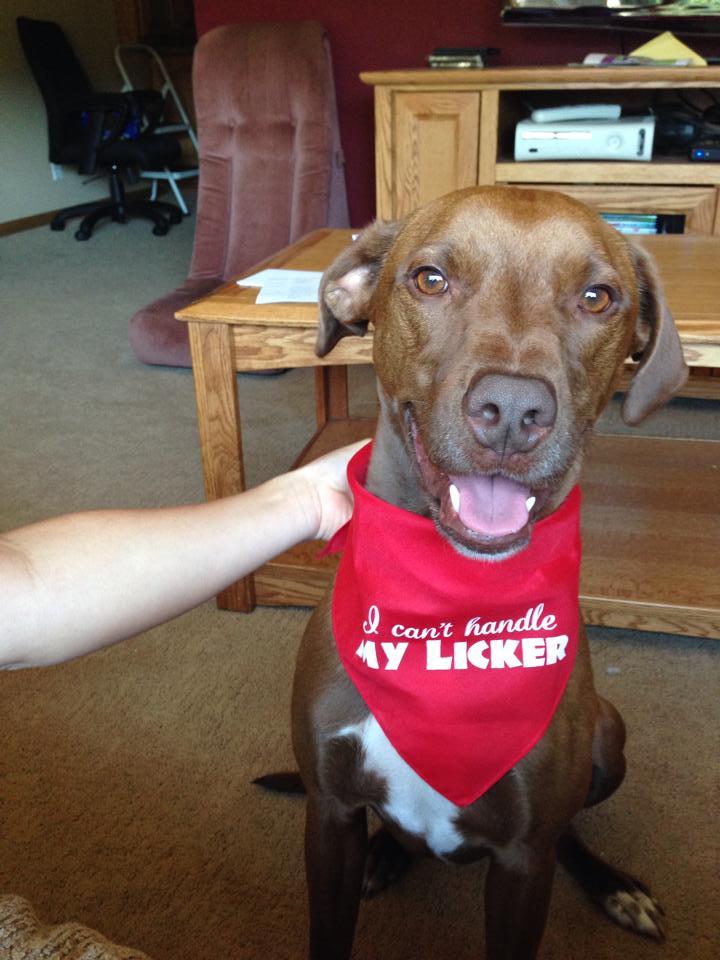 I Can't Handle My Licker Bandana - Image 12