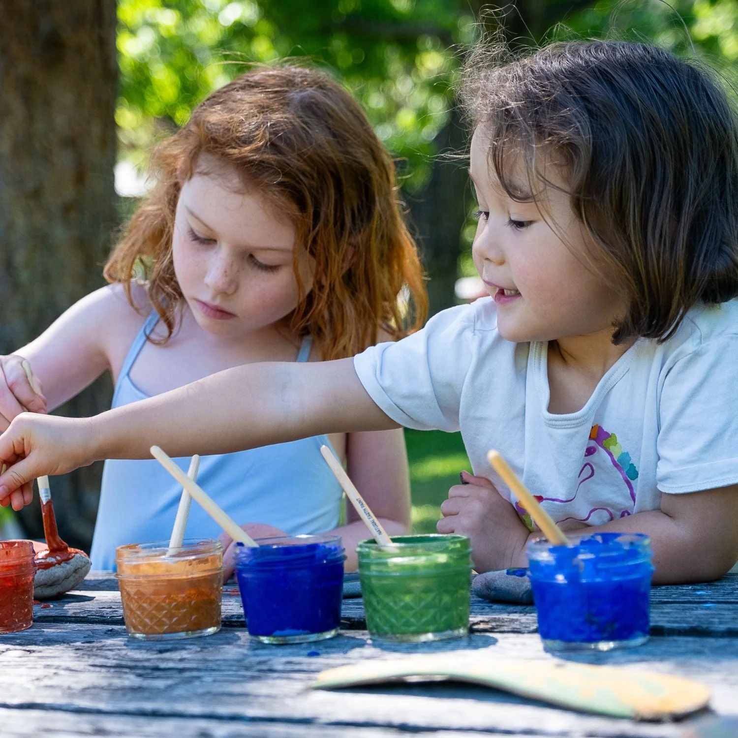 Natural Earth Paint - Bulk - - Image 5
