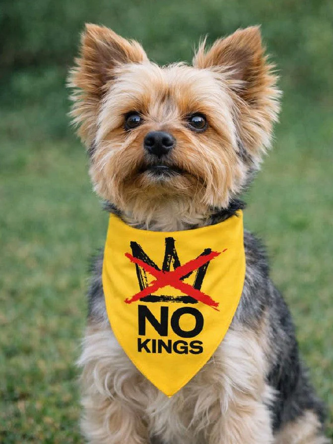 NO KINGS Bandana - Image 5
