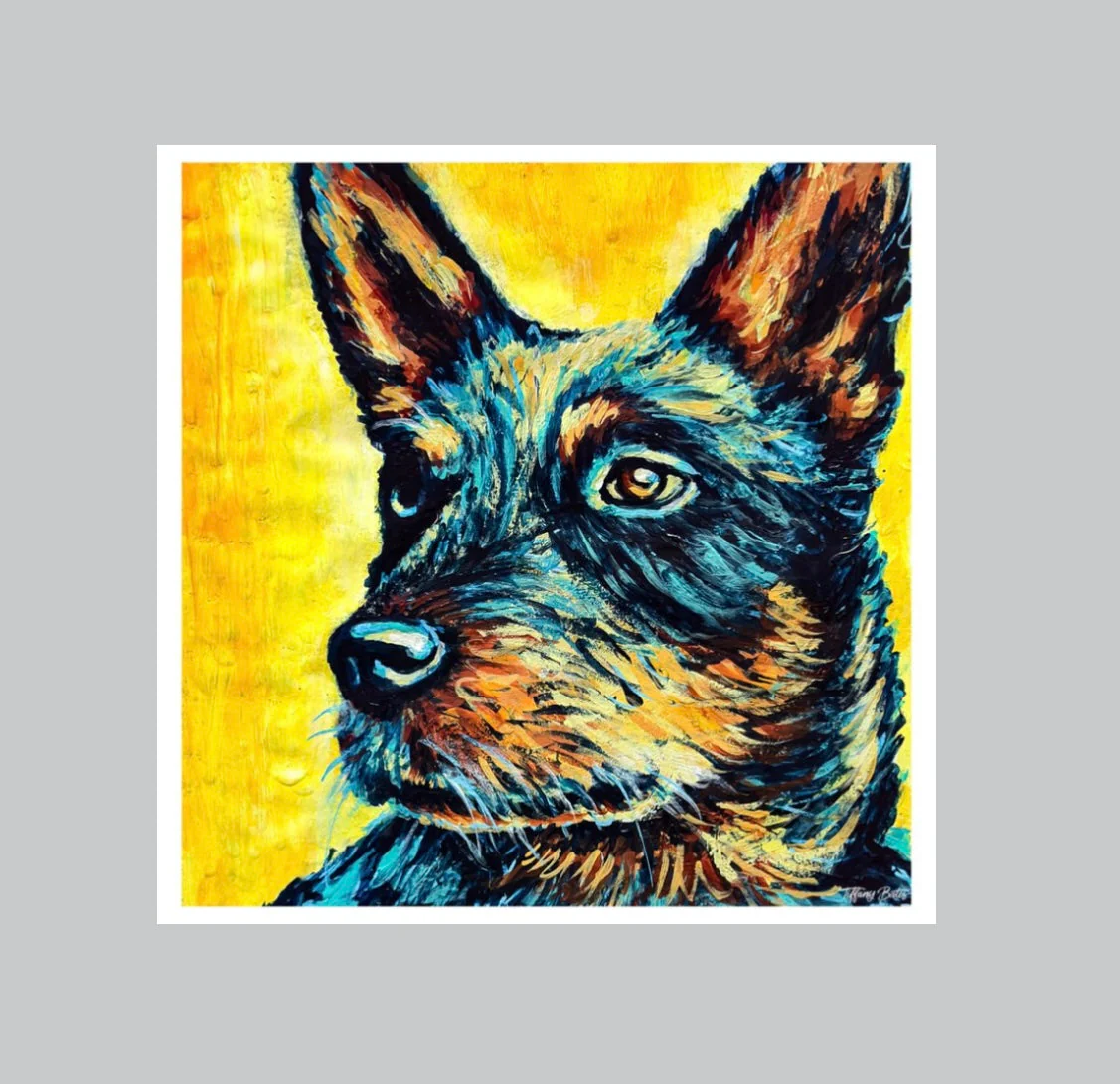 Starry Eyed Heeler - Fine Art Print - 8” x 8”
