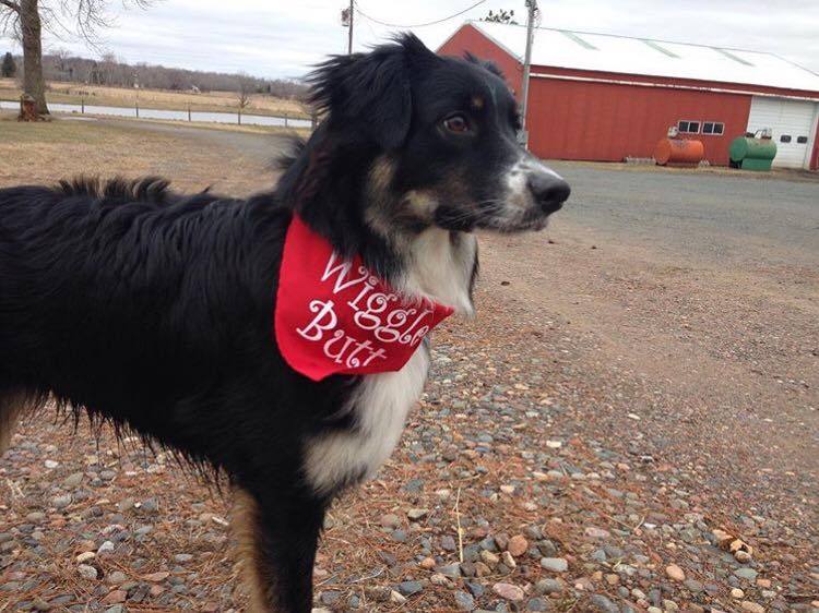 Wiggle Butt Bandana - Image 12